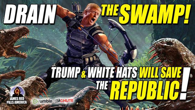 Drain The Damn Swamp! President Trump & Military White Hats ...